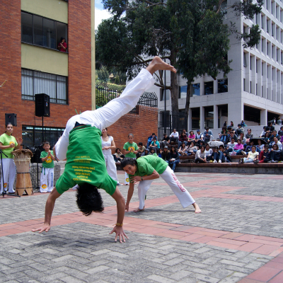 Steve Rosebleue - Brazil in the Tadeo